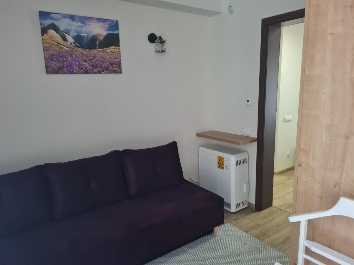 Apartamenty Convallis Kościelisko Extérieur photo